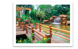 Lush Garden Paradise